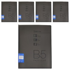 KYOKUTO 26孔薄型3用資料夾 B5, 透明黑, 5本
