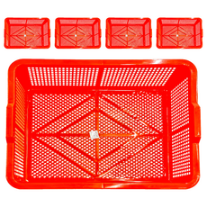 震嶸塑膠 650 公文林 收納籃 聚丙烯 (P.P.)材質, 60 x 48 x 14cm, 紅色, 5個