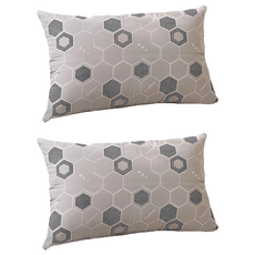 A-nice 雅妮詩 石墨烯羽絲絨枕 100%聚酯纖維表布 內含30%石墨烯纖維, 75 x 48 x 15cm, Grey, 2個