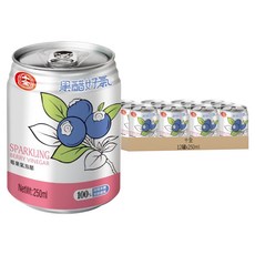 十全 果醋好氣 氣泡飲 莓果口味 250ml 12罐