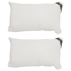 Love Life 樂芙 可水洗QQ枕 Ｑ彈柔軟不塌陷 頸部有支撐 防潑水表布 透氣舒適不悶熱, 45 x 75cm, 2個