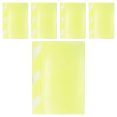 KyOKUTO 20孔半透明彩色資料夾 A5, 粉綠色, 5本