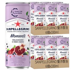 SANPELLEGRINO 聖沛黎洛 氣泡水果飲料 石柳黑加侖口味, 330ml, 12個