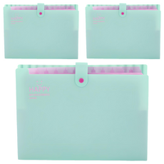 Abern 12格微笑馬卡龍活頁夾, 薄荷綠, 3本