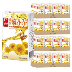 光泉 正庄 蜂蜜菊花茶 300毫升 x 24入, 300ml, 96入