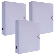 珠友文化 A4 D型夾集卡冊 有洞款 4孔, 紫色, 3個