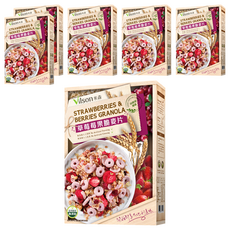 Vilson 米森 草莓莓果脆麥片, 350g, 6盒