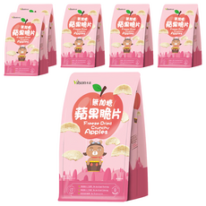 Vilson 米森 無加糖蘋果脆片 天然無添加 冷凍乾燥技術 保留蘋果原味 健康零食首選, 40g, 6袋