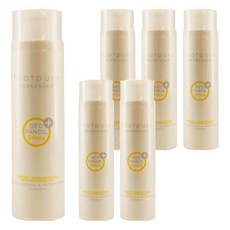 FOOTPURE 第三代鞋蜜粉 清新桂花, 抗菌防止腳臭, 吸附腳汗保持乾爽, 100ml, 6瓶