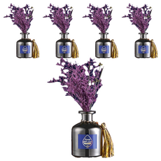 SC優選 植物精油 無火香薰精油套裝 希爾頓飯店香型, 5個