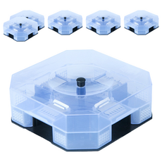 FANCY LIFE 蟑螂捕捉器,150g,6個,有效滅蟑,安全無毒,居家必備