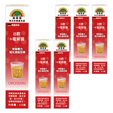 SUNLIFE 森萊富 B群+電解質發泡錠 橘子葡萄柚口味, 20顆, 80g, 6盒