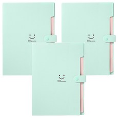 Aster 5格風琴文件整理夾, 薄荷, 3個