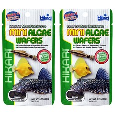 Hikari 高夠力 異型飼料 小粒, 22g, 2包