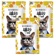 PETSONG CATBOSS系列 白金超凝結無塵礦砂, 5kg, 無香, 3袋
