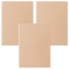 PENROTE 筆樂 B5柔色活頁筆記本 26孔 E0475 奶茶色, 3本