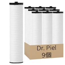 Dr. Piel 頂級廚房用手持式一般型蓮蓬頭濾芯, 無香, 9個