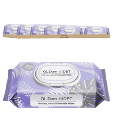 OLDam 可沖式濕紙巾 掀蓋型 棉花香, 70gsm, 易溶於水的可沖式布料, 70g, 62張, 10包