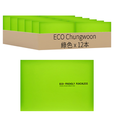 ECO Chungwoon 環保無孔資料簿 A5, 綠色, 12本
