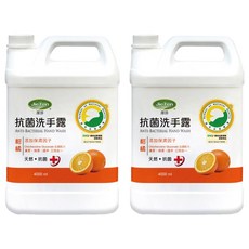 潔芬 Jie Fen 柑橘 4L 補充桶｜抗菌洗手乳 家庭號, 2桶