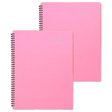 A4 不反光樂譜文件夾 30頁60面 粉色, 2本