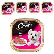 Cesar 西莎 精緻餐盒 狗罐頭, 牛肉, 100g, 6罐