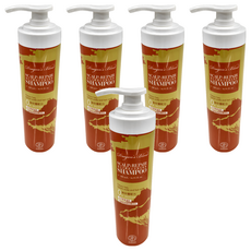 Jenduoste 珍朵絲特 龍血求麗 頭皮修護洗髮精, 500ml, 5瓶