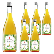 e.Ben 一本 濃縮梅子醋 玻璃瓶精裝盒, 500ml, 6瓶