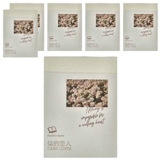 德德小品集 硫酸紙素材本 15歲以上 100張, 私人帳號, 6本