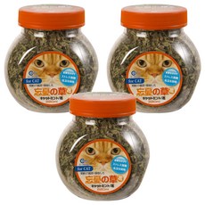 Canary 正午嫩採貓薄荷草+花苞 22g C-S450, 貓薄荷, 3罐