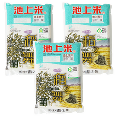 池上多力米 稻之舞 一等米, 台灣台東產, 1.5kg, 3包