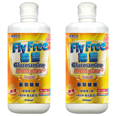 信東生技 飛靈葡萄糖胺液, MSM強化配方, 西印度櫻桃風味, 946ml, 2瓶