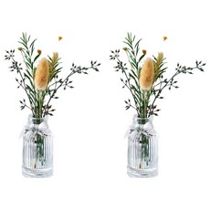 SC優選 植物精油 ins北歐乾燥花無火香薰擺飾,純真芷子花,50ml,2瓶