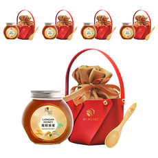 Mr.HONEY 蜂蜜先生 龍眼蜂蜜提籃組, 240g, 5組