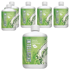 INTELLIGENT 因特力淨酵素漱口水, 清新茶香, 300ml, 6瓶