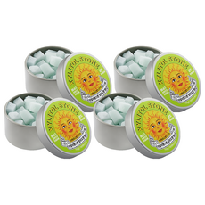 XYLITOL STONE Candy 韓國木糖醇小方糖 15 清香綠葡萄, 4個, 70g
