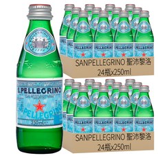 SANPELLEGRINO 聖沛黎洛 天然氣泡礦泉水 平行輸入, 250ml, 48瓶