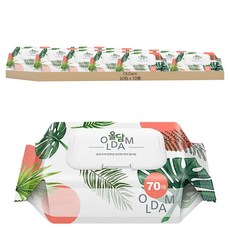 OLDam Monstera 嬰兒用濕紙巾 掀蓋式 熱帶雨林款 10包, 70張
