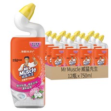 Mr Muscle 威猛先生 深層淨力潔廁凝膠 璀璨花舞 強效除臭 徹底去垢, 750ml, 12瓶