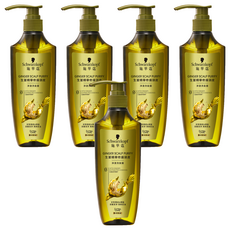 Schwarzkopf 施華蔻 生薑精華修護頭皮淨澈洗髮露 400ml 5瓶