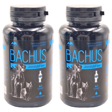 BACHUS 巴吉斯 骨骼關節強化保健錠 犬貓專用, 維護骨骼/關節, 60顆, 2罐