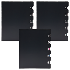 maruman 5CHART 20孔筆記本 A5, 黑色, 3本