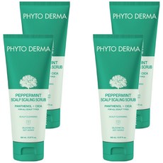 PHYTO DERMA 朵蔓 草本頭皮磨砂淨化霜，含杏桃殼磨砂顆粒，適用於所有頭皮類型，150ml, 4條