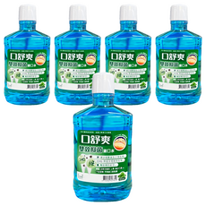 SHITEH 西德 口舒爽 雙效抑菌漱口水, 600ml, 5瓶