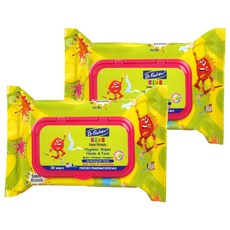 Dr.Fischer 費雪博士 維生素奇異果甜瓜濕紙巾 自然成分 溫和清潔, 30張, 2包