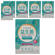 PB AMINO 好順蔬暢益生菌 多多風味, 20包, 2g, 6盒