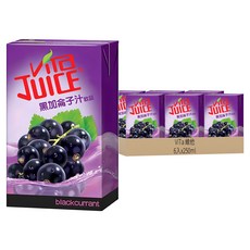ViTa 維他 黑加侖子汁, 250ml, 6入