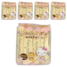 Hello Kitty 凱蒂貓 濕式衛生紙 20抽, 16包, 5袋