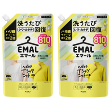Kao 花王 EMAL 精致洗 護色防縮洗衣精補充包 清新綠香, 810ml, 1入, 2包