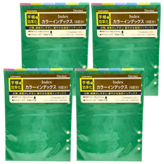 Raymay 藤井 Davinci 6色索引分隔板 A5, 綠色, 4本